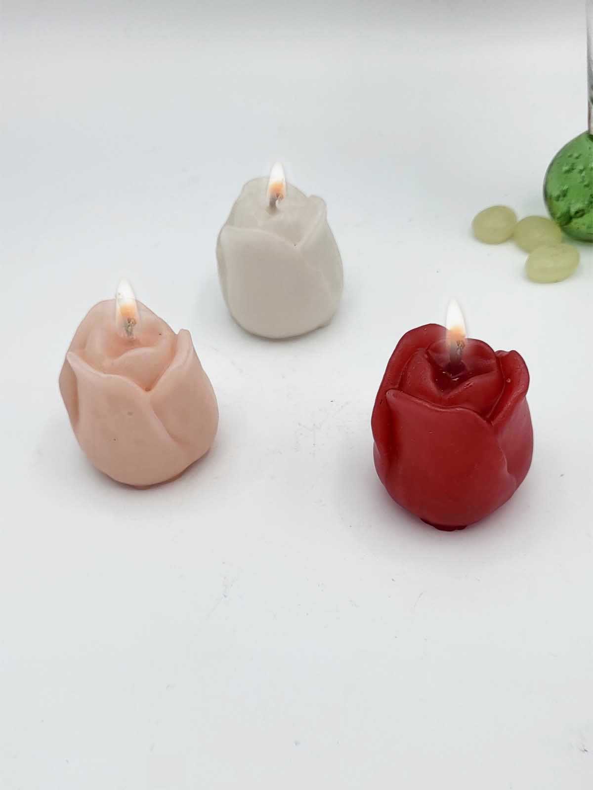 https://cdn.shopify.com/s/files/1/0652/8391/6020/files/CAND132ST-deep-love-tulip-candle-1_eca6a99e-e165-487a-9ea4-1d408a076f48.jpg?v=1674599450